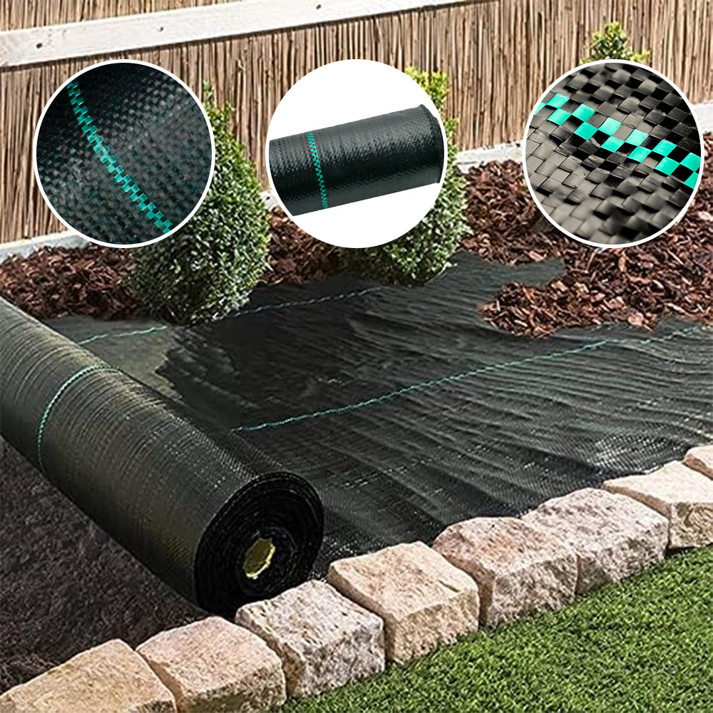 Ideias inovadoras de barreira contra ervas daninhas para um jardim de baixa manutenção