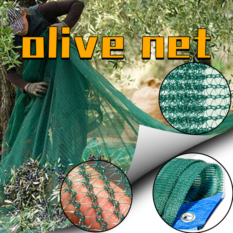 Olive Net para Agricultura 100% HDPE Rede de Colheita de Cor Verde
