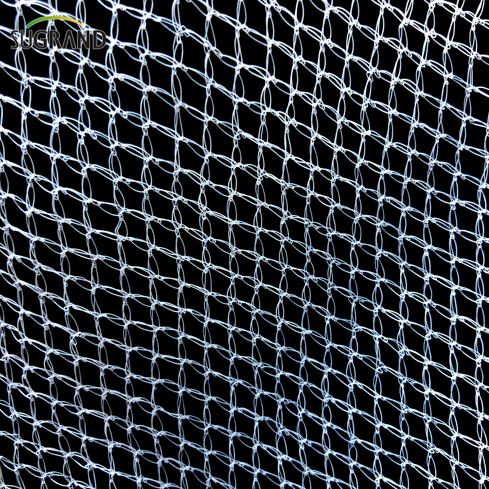 Rede de jardim para pássaros em vinhedo rede de tricô de plástico anti-pássaros