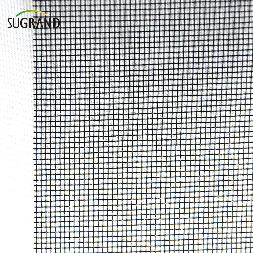 Rede mosquiteira de fibra de vidro para tela de insetos de fibra de vidro do Windows