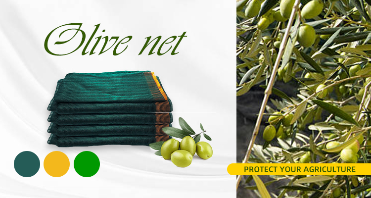 rede verde-oliva 56gsm
