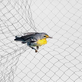 Redes de névoa para pássaros para capturar pássaros