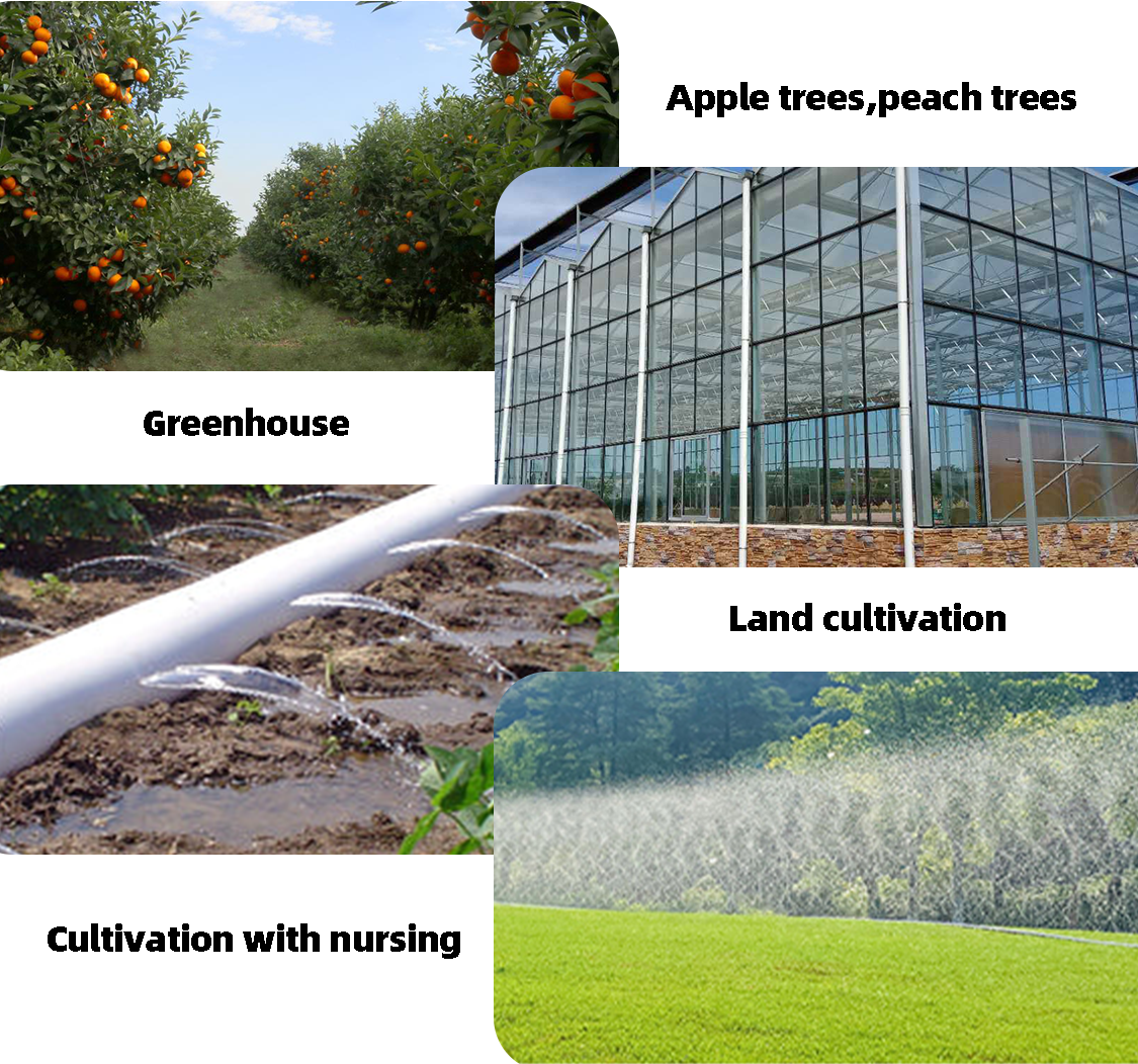 Drip Irrigation9 Irrigação por gotejamento 9