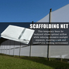 China Factory Professional Supply Building Staffold Safeting