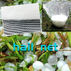 Agricultural HDPE Plastic Anti Hail Mesh líquido Branco à prova de granizo rede 