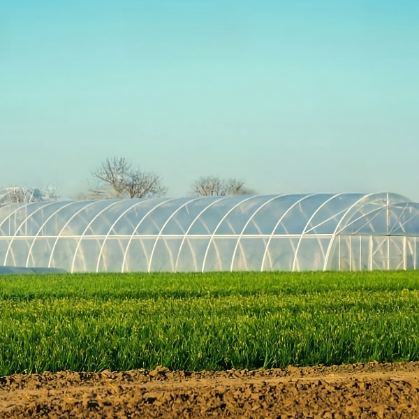 Impacto da rede plástica agrícola na agricultura