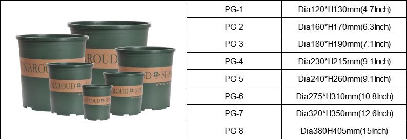 vaso de flores com planta suculenta