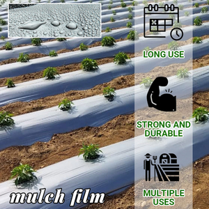 Filme mulching plástico preto e prateado plástico agrícola filme mulch plástico