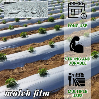 Filme mulching plástico preto e prateado plástico agrícola filme mulch plástico