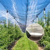 Agricultural HDPE Plastic Anti Hail Mesh líquido Branco à prova de granizo rede 