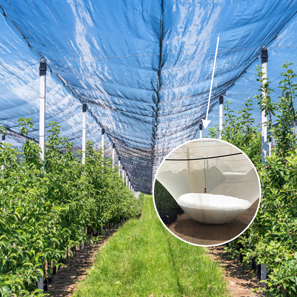 Agricultural HDPE Plastic Anti Hail Mesh líquido Branco à prova de granizo rede 