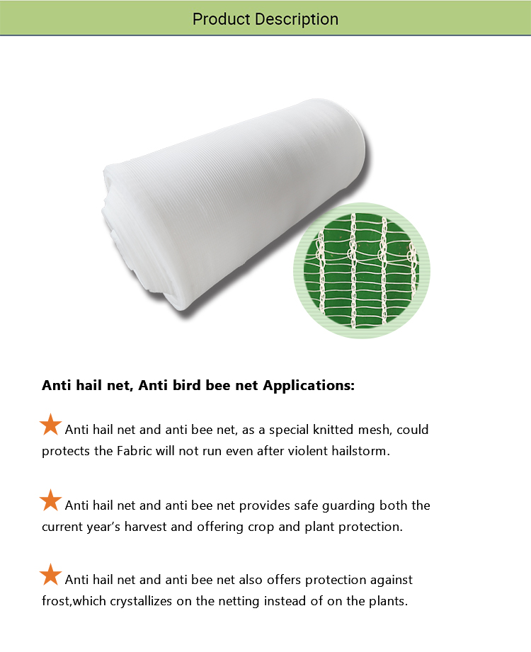 Bee Net-2