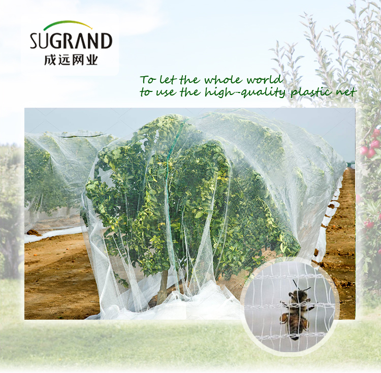 Bee Net-1