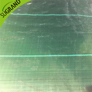 Tampa do solo verde escuro de 104gsm
