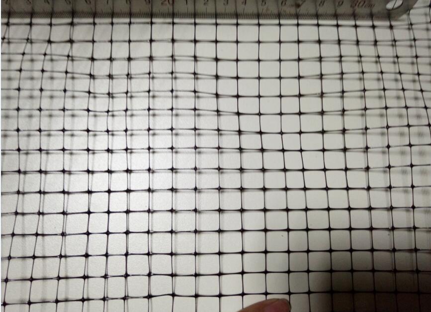 Introdução à rede anti -pássaro