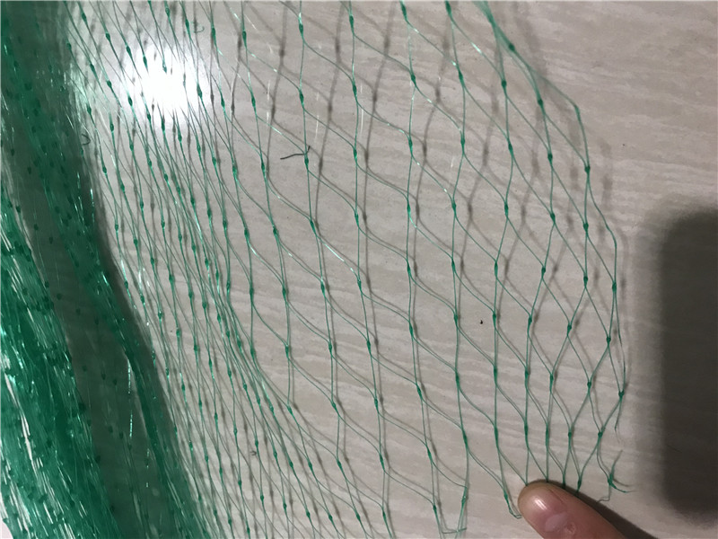 Rede anti -pássaro pesada extrudada verde para proteger as plantas de frutas