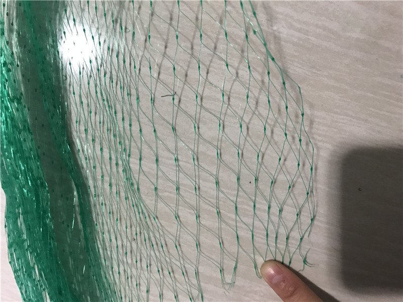 Rede anti -pássaro pesada extrudada verde para proteger as plantas de frutas