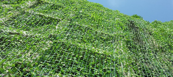 Quais materiais são usados ​​para fazer rede de pássaros e suporte de plantas?