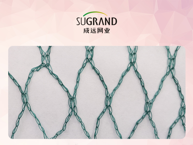 Qual é o melhor material de rede de pássaros em viveiro de peixes