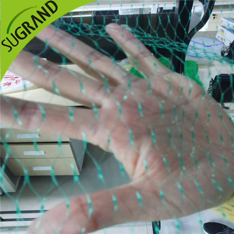 Seleção do material e tamanho da malha da rede para pássaros