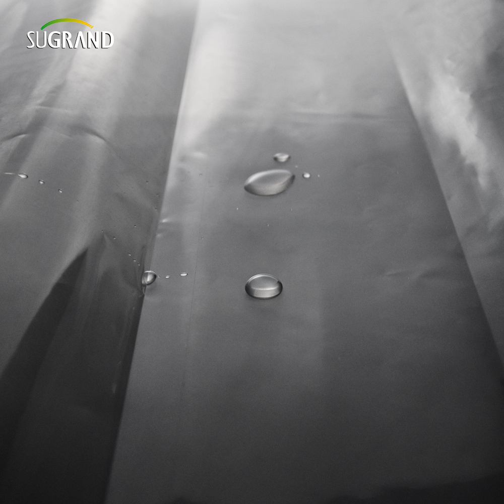 UV 190 Microns Greenhouse Polyetileno Film 6 Mil Plástico Roll Factory
