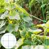 8GSM-10GSM Green HDPE Plant Support Net