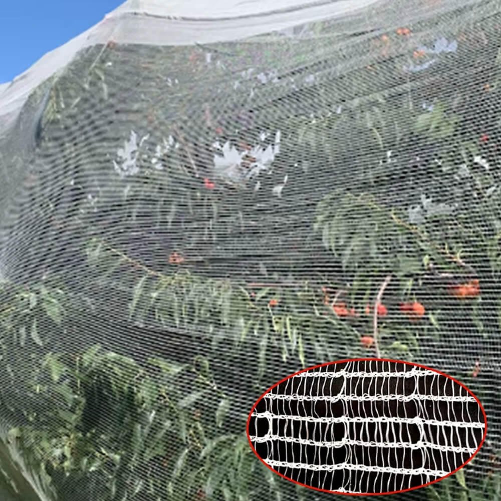 UV tratado HDPE 50GSM Black AntiBE Net