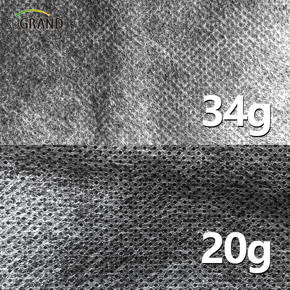 100g 2x50m Agricultura pp pano não tecido branco 