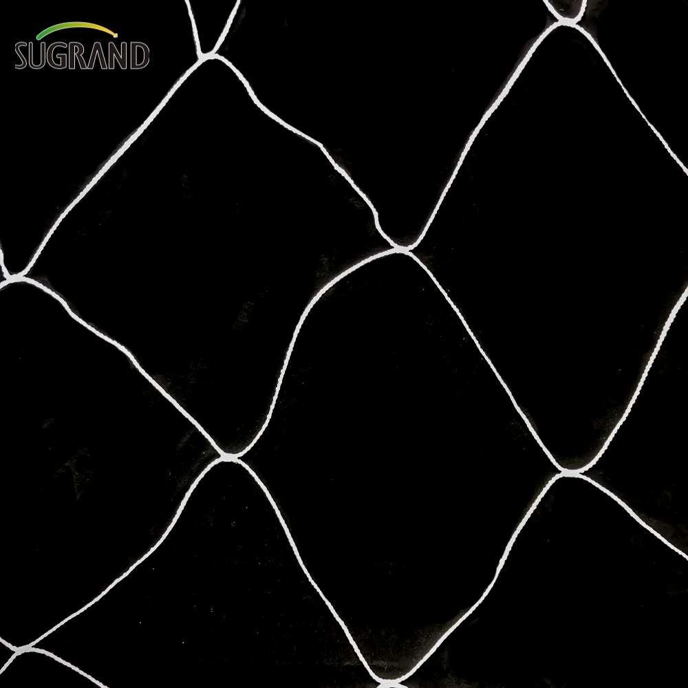 Nylon White Trellis Net Salbing Plants de apoio à rede