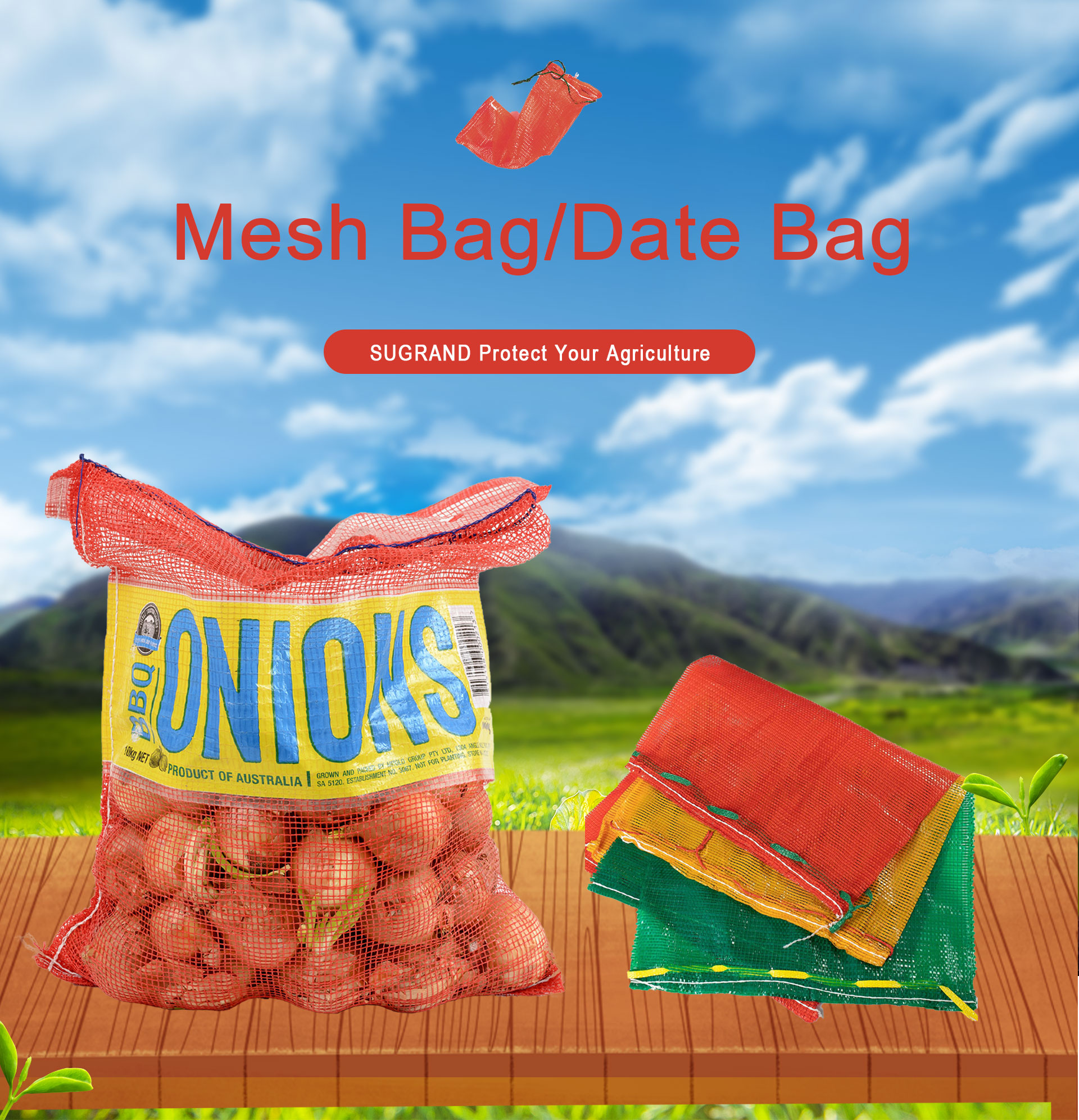 Mesh Bag1