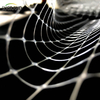 White 8*8mm Anti-Bird Net para Frutas de Frutas Fornecedores de Rede de Aves