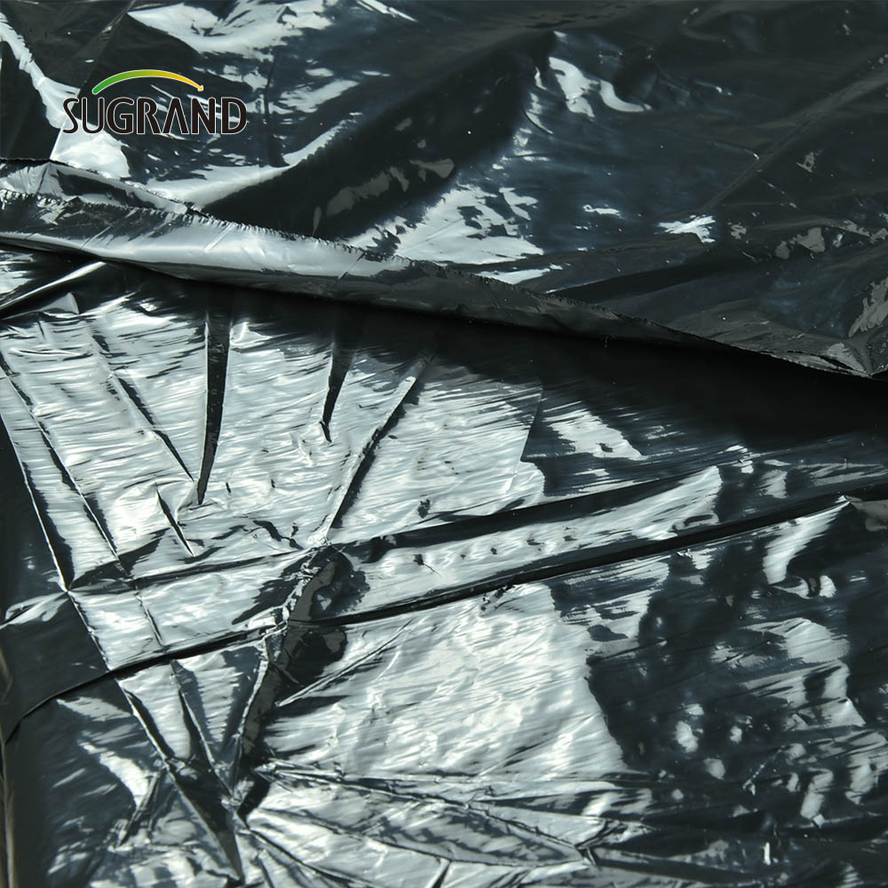 Preço barato de fábrica plástico preto Mulch Biodegatorable UV Mulch Film for Agricultural