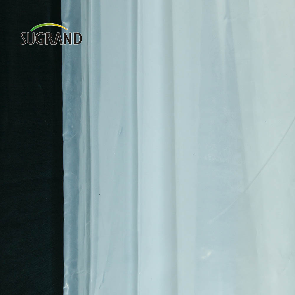 Filme de estufa 190mic de estufa de estufa transparente de fábrica para mudas de jardim