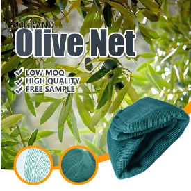 olive net.png