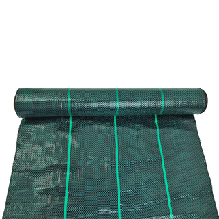 Tampa do solo verde escuro de 104gsm