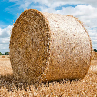 Rede de enfardamento de paletes Rede de envoltório de silagem por atacado