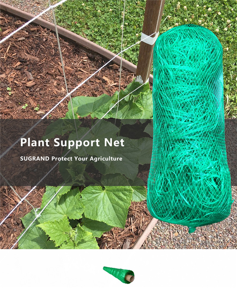 rede de suporte de planta 1_副本