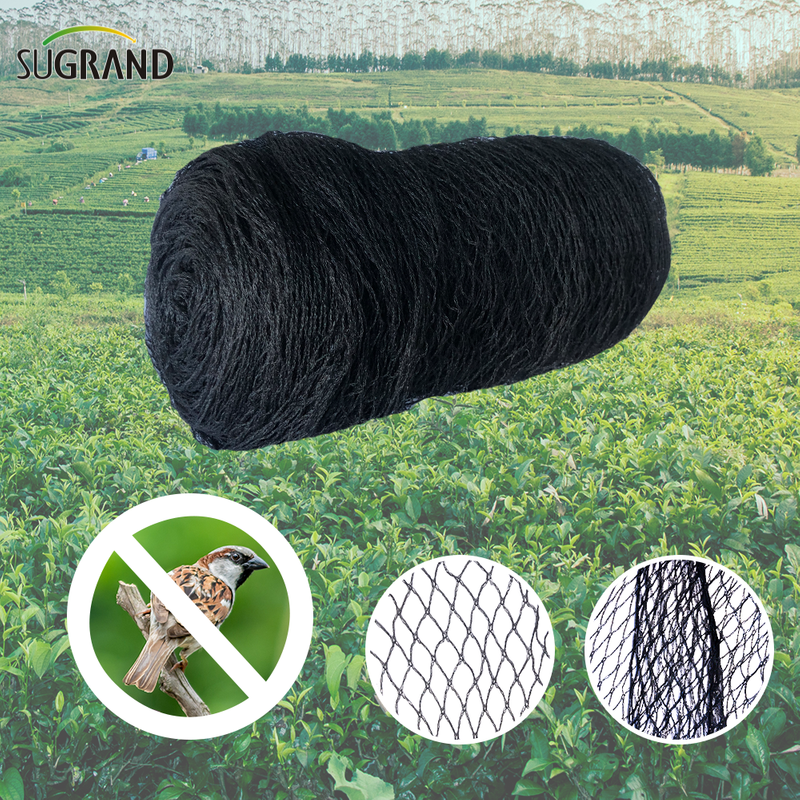 Preto 17mx17m pombo líquido anti -pássaro com árvores frutíferas