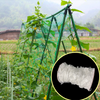 Garden Green White Balck Trellis Plant Climbing Support Fornecedores de rede