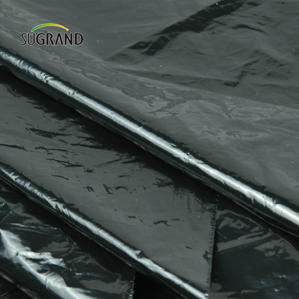Preço barato de fábrica plástico preto Mulch Biodegatorable UV Mulch Film for Agricultural