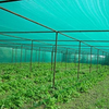 Rede de tonalidade verde -verde do Garden ou Garden Sun