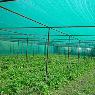 Rede de tonalidade verde -verde do Garden ou Garden Sun