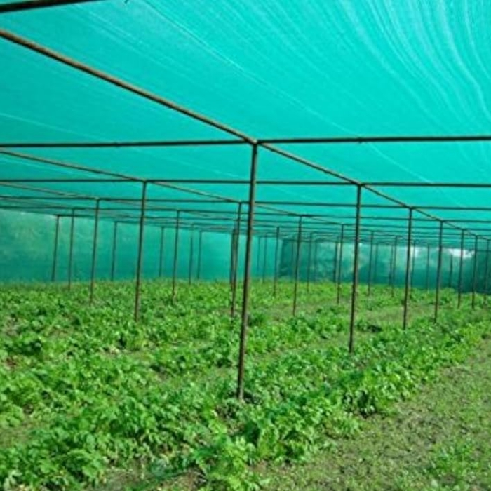 Rede de tonalidade verde -verde do Garden ou Garden Sun