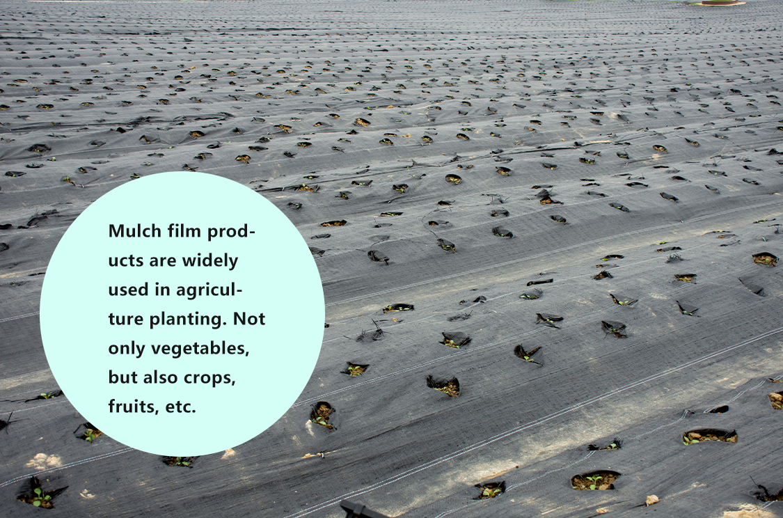 filme mulch biodegradável