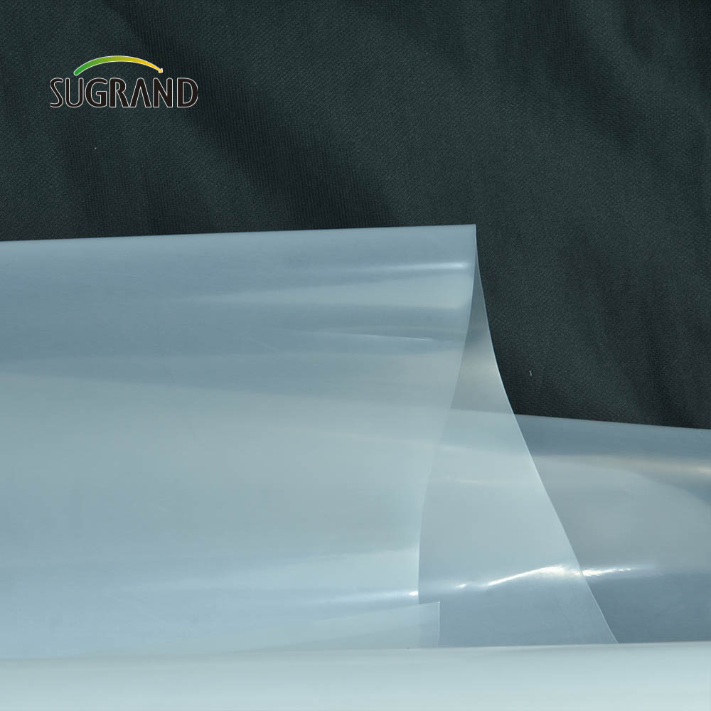 Filme de estufa 190mic de estufa de estufa transparente de fábrica para mudas de jardim