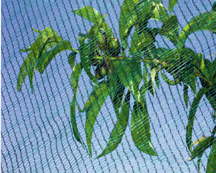 Redação de granizo para jardins por atacado