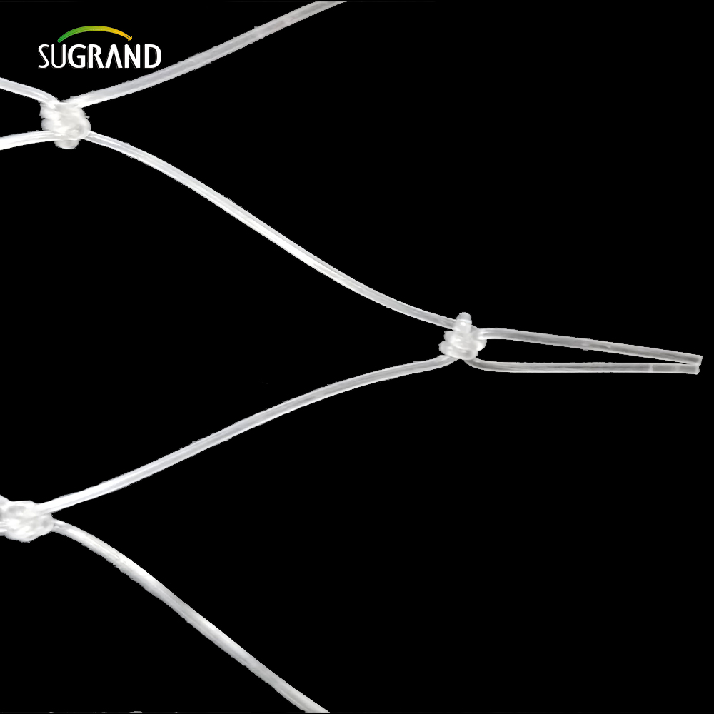 15*15 cm de rede de peixes de nylon transparente para o mercado do Peru