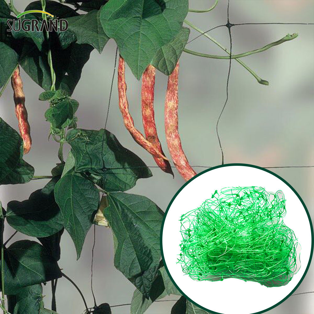 8GSM-10GSM Green HDPE Plant Support Net