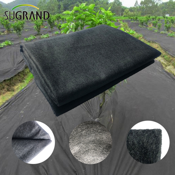 As características da criação de mudas não tecidas agrícolas