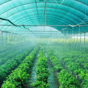 Rede de sombra de três agulhas com fita verde